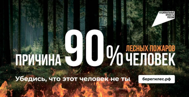 В 2025 году с 15 марта по 30 сентября в России пройдет Федеральная информационная противопожарная кампания "Останови огонь!".