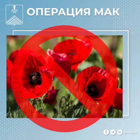 Операция МАК!