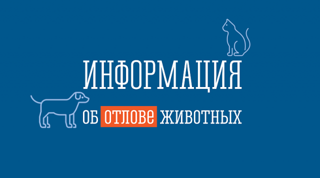 Уважаемые жители Гулькевичского района! 