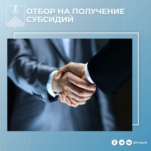 Отбор на получение субсидий