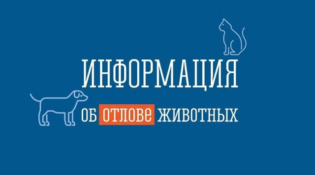 Уважаемые жители Гулькевичского района! 