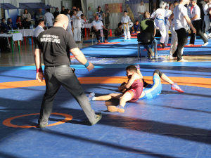 В Гулькевичи проводится 1-й Фестиваль боевых искусств. 