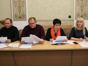 Заседания депутатских комиссий районного Совета