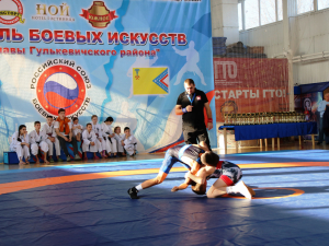 В Гулькевичи проводится 1-й Фестиваль боевых искусств. 