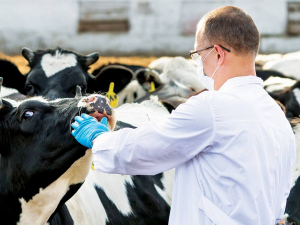 Поздравляю с Днём работников ветеринарной службы Краснодарского края специалистов района! 