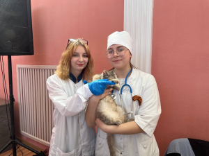 Сегодня в КДЦ «Лукоморье» состоялся региональный этап Всероссийской ярмарки трудоустройства «Работа России. Время возможностей».
