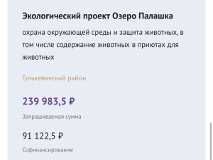 Объявлены итоги первого конкурса Грантов Губернатора Кубани в этом году