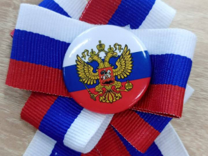 Руководитель МКУ ГРОЦ Дарья Колесникова приняла участие в мастер-классе «Публичный блиц-опрос «Горжусь Отчизною своей!»: от идей к воплощению»