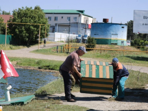 домики для пернатых жителей