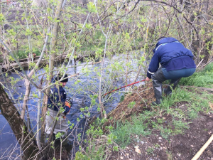 Краевое совещание по предотвращению и ликвидации последствий паводков в крае