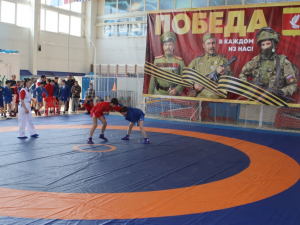 Соревнования по самбо